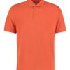 Variation picture for Burnt Orange