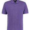 Variation picture for Purple