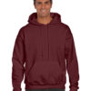 Variation picture for Maroon