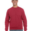 Variation picture for Antique Cherry Red