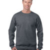 Variation picture for Dark Heather
