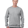 Variation picture for Sport Grey