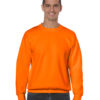 Variation picture for Safety Orange