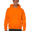 Variation picture for Safety Orange