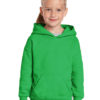 Variation picture for Irish Green
