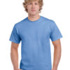 Variation picture for Carolina Blue