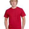Variation picture for Cherry Red