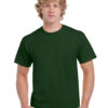 Variation picture for Forest Green