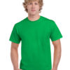 Variation picture for Irish Green