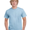 Variation picture for Light Blue