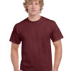Variation picture for Maroon