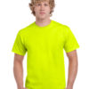 Variation picture for Safety Green