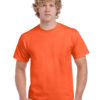 Variation picture for Orange