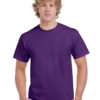 Variation picture for Purple