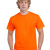 Variation picture for Safety Orange