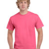 Variation picture for Safety Pink
