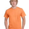 Variation picture for Tangerine
