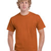 Variation picture for Texas Orange