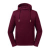 Variation picture for Burgundy