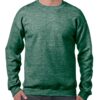 Variation picture for Heather Sport Dark Green