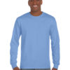 Variation picture for Carolina Blue