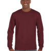Variation picture for Maroon