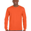 Variation picture for Orange
