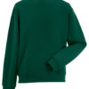 Variation picture for Bottle Green