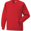 Variation picture for Bright Red