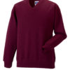 Variation picture for Burgundy
