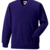 Variation picture for Purple