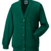Variation picture for Bottle Green