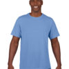 Variation picture for Carolina Blue