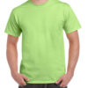 Variation picture for Mint Green