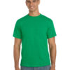 Variation picture for Antique Irish Green
