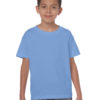 Variation picture for Carolina Blue