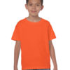 Variation picture for Orange