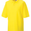Variation picture for Yellow