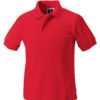 Variation picture for Bright Red