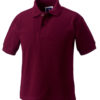 Variation picture for Burgundy