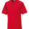 Variation picture for Bright Red