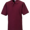 Variation picture for Burgundy