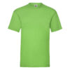 Variation picture for Lime