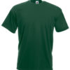 Variation picture for Bottle Green