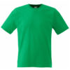 Variation picture for Kelly Green