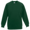 Variation picture for Bottle Green