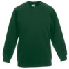 Variation picture for Bottle Green