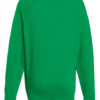 Variation picture for Kelly Green