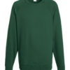 Variation picture for Bottle Green