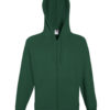 Variation picture for Bottle Green
